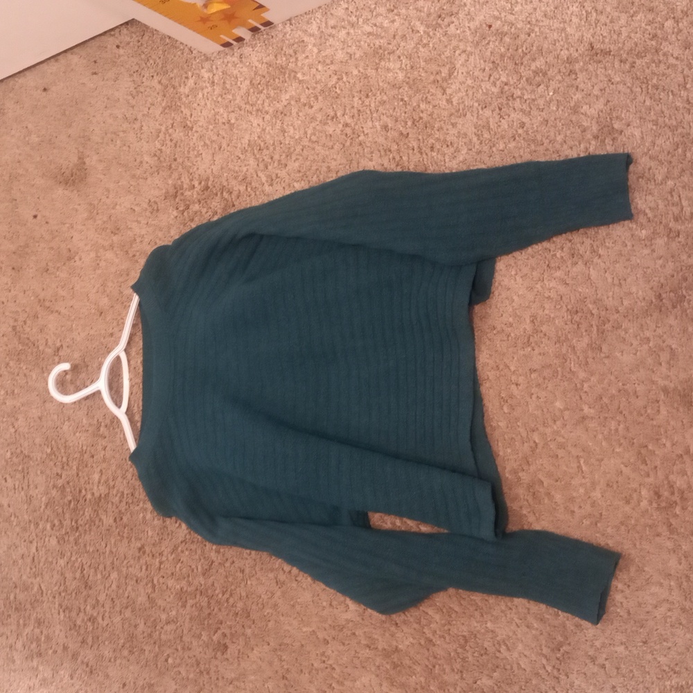 Pink Rose Teal Knit Sweater